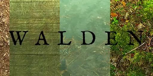 Walden, a game